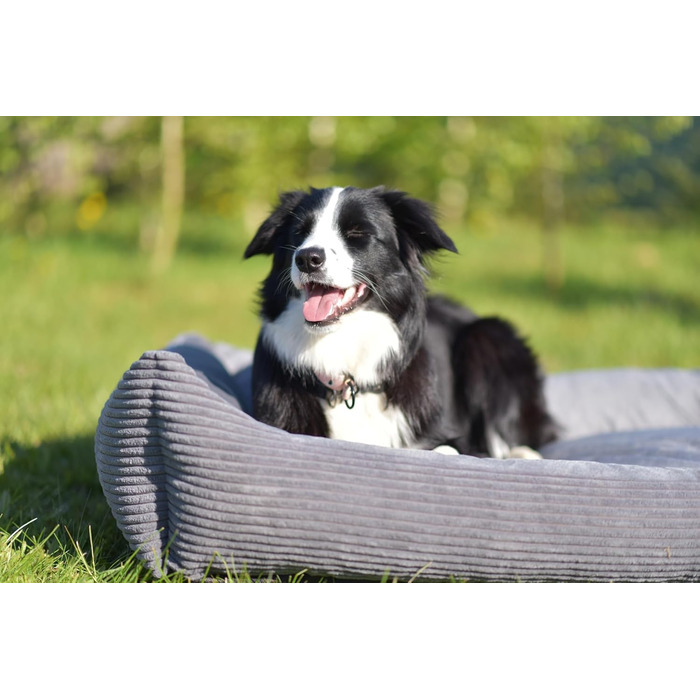 4L Textil М'яке ліжко-гніздечко для котів та собак, гніздо-лежанка, кошик для котів, лежанка для собак, для цуценят, сірий (60x40 см), 60 x 40 x 15 см