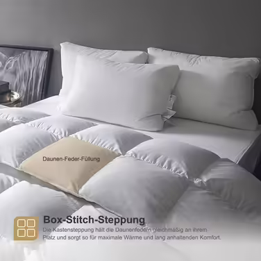 Літня ковдра DWR 220x240 см, легка пухова та пір’яна ковдра з 100% бавовни, дихаюча, стьобана, сертифікат Öko-Tex, біла, King Size