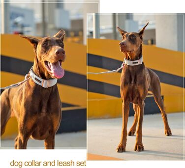 Набір повідка та нашийника для собак Aring PET, нашийник та повідок для собак, регульований набір повідків та нашийників для хлопчиків та дівчаток, темно-зелений (XS, сріблясто-сірий)