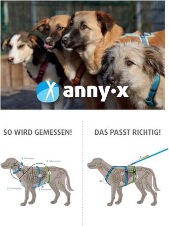 Шлейка для собак Anny-X Brustgeschirr Fun чорного кольору, розмір XL-короткий (обхват грудей 78-96 см)