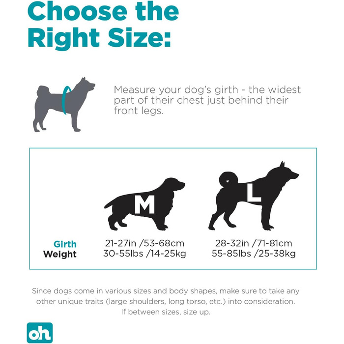 Рюкзак для собак Outward Hound DayPak, великий, блакитний