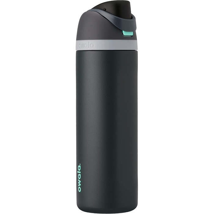 Owala FreeSip Insulated Stainless Steel Water Bottle with Straw for Sports and Travel, BPA-Free, 1.2 L, Dreamy Field (1183 ml, Foggy Tide)