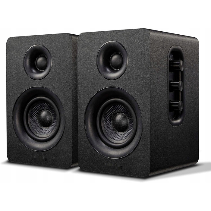 Комплект акустичних колонок 2.0 Sanyun SW208, 50 Вт, чорний