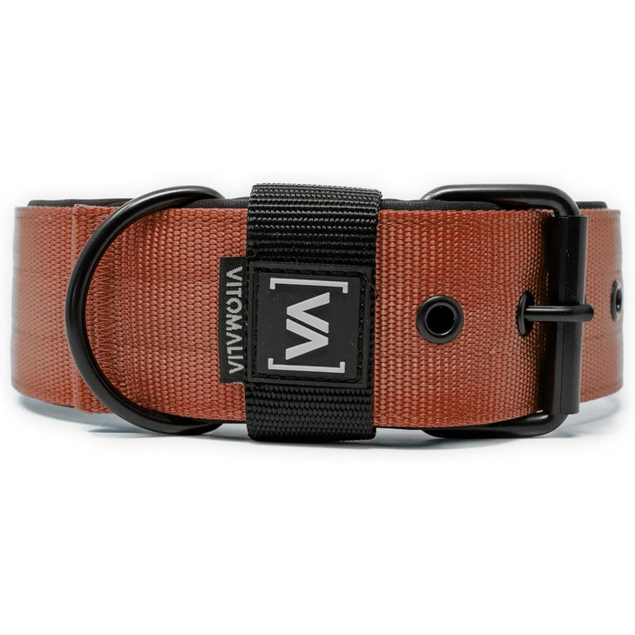 Нашийник для собак середнього розміру, 4 см, з неопреновою підкладкою, коричневий, нержавіюча сталь