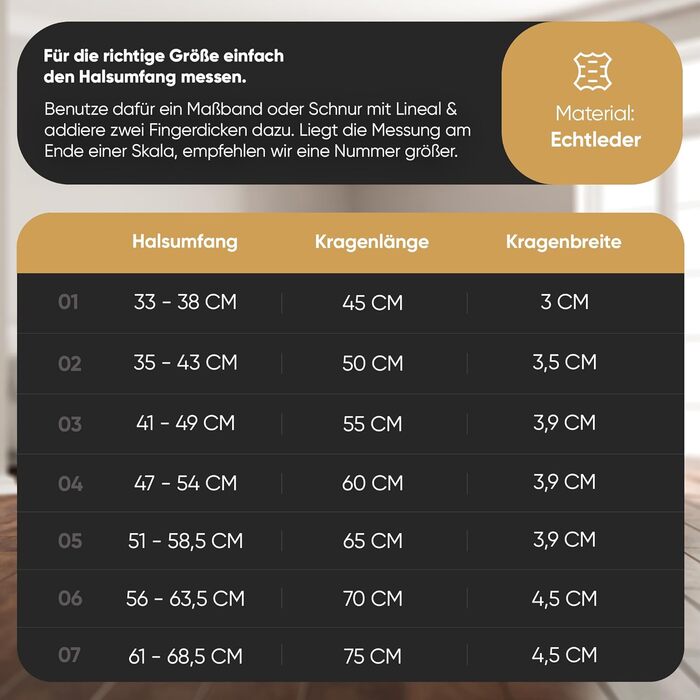 Нашийник для собак MICHUR Diego Schwarz з натуральної шкіри, з мідними заклепками, з мідним декором у вигляді лева, розмір 56-63,5 см