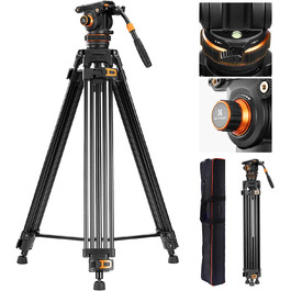 стиль: va3+bv20