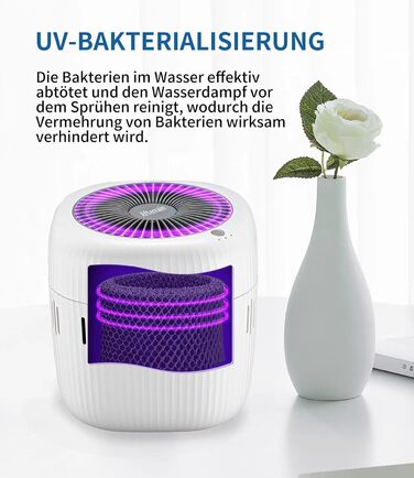 Зволожувач повітря Kaltverdunstungs Raumbefeuchter: без туману, для алергіків та вагітних, 2.5L