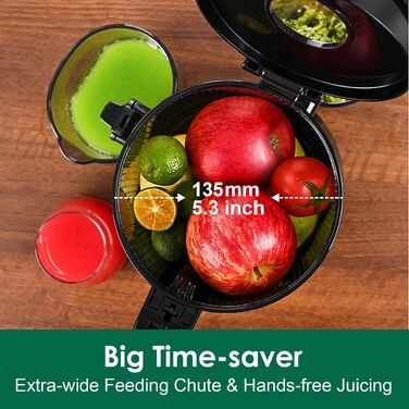 Шнекова соковижималка Fretta Slow Juicer для овочів та фруктів, чорна (колір: вино)