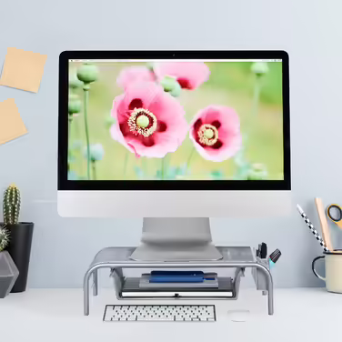 Relaxdays Monitor Stand with Drawer