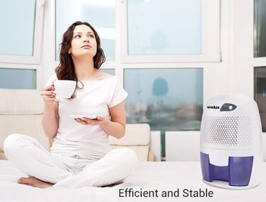 Senelux Powerful 500ml Portable Mini Air Dehumidifier, Quiet Air Dehumidifier, Small Air Dehumidifier Efficient and Stable, Moisture Absorber for Small Rooms, Basements, Bedrooms