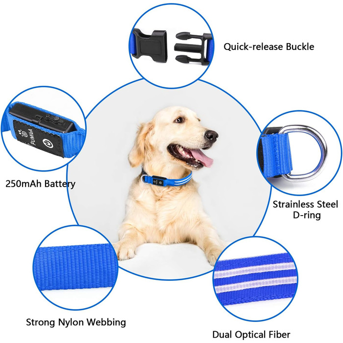 Світлодіодний нашийник для собак Leuchthalsband, перезаряджається, 3 режими світіння, водонепроникний, для маленьких, середніх та великих собак, зелений/синій (TC5000)