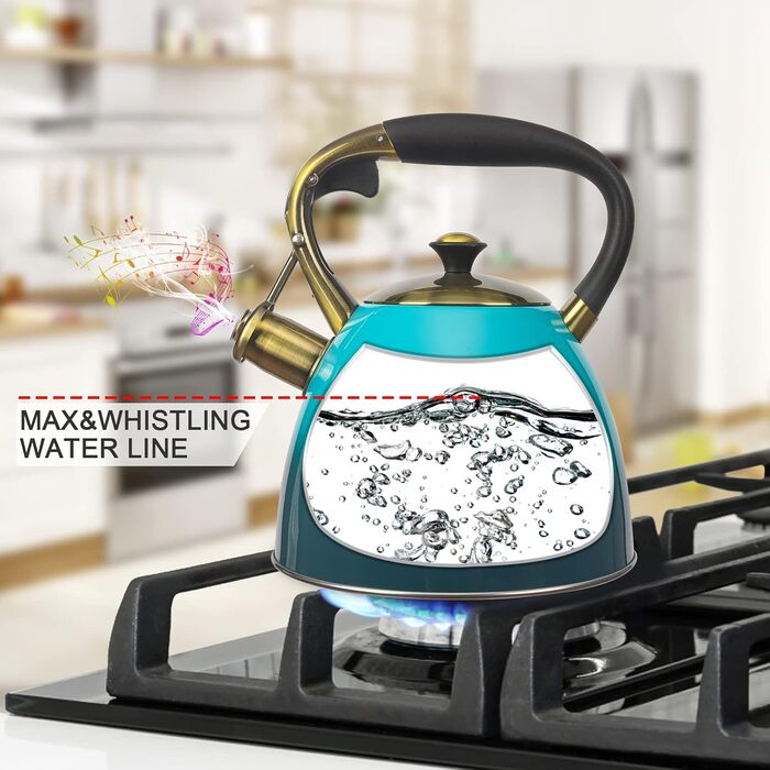 Чайник для плити Teekessel з нержавіючої сталі, 2,9 л (Блакитний)