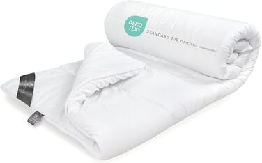 FAM Home Duvet Cover 220x240 Soft Microfiber Washable for Summer | Comforter Allergy-Friendly for Allergy Sufferers | Quilted Comforter 240x220 cm Summer Blanket