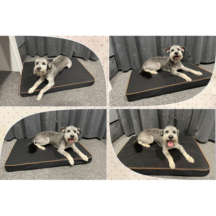 FORTISLINE Dog Mat Dog Bed OAHU Plus 2 Sizes 4 Colors (XL - 120x80x8cm, Grey)