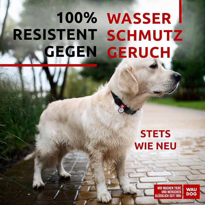 Водонепроникний нашийник для собак WAUDOG: великі, середні та малі породи. Регульований, металевий замок, 31-49 см, 25 мм ширина