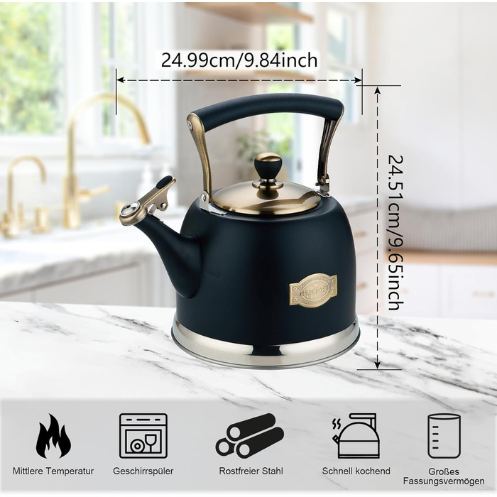 Чайник для кемпінгу з нержавіючої сталі 3L, з носиком, для плити та індукції, чорний