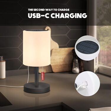 Світлодіодний солярний настільний світильник для вулиці 2-в-1, бездротовий, 8 кольорів, для саду, кемпінгу (Сірий)