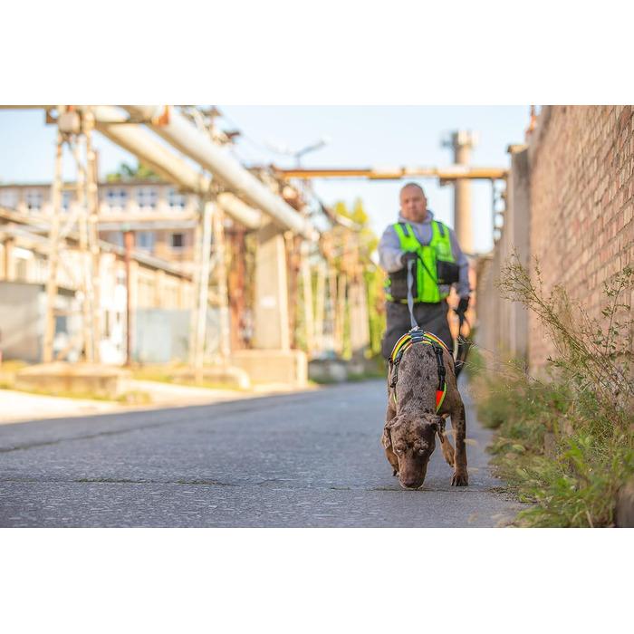 Нашийник для дрессури собак Juliu-K9 Mantrailing 19MTR чорний з неоновим контуром (M)