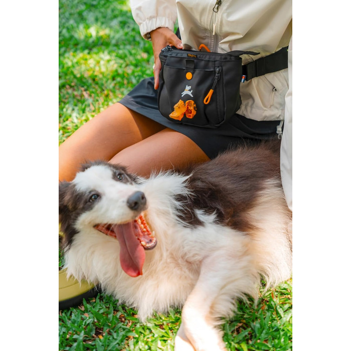 ОлліДог Backcountry Tagestasche - сумка для ласощів та відходів для собак, з кліпсою на пояс, Raven S'25