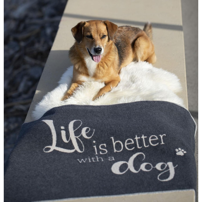 Підстилка для домашніх тварин David Fussenegger Life is Better Dog, маленька, антрацитова, 90x70 см, 7319/98