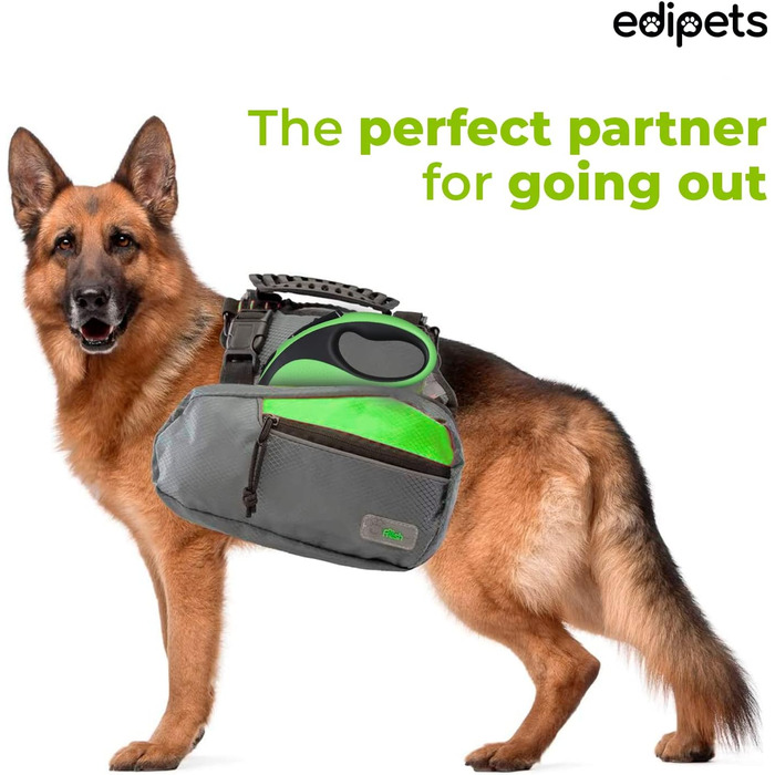 Hundeleine Edipets висувна та звичайна, 5/8 м, для собак маленьких, середніх та великих порід, для прогулянок та тренувань (зелена)