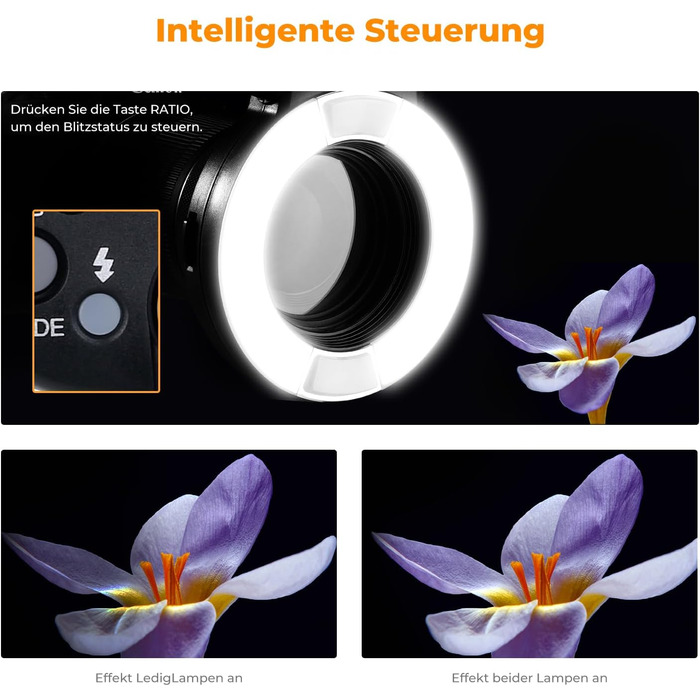 Кольцевий світловий прилад K&F Concept TTL для Nikon DSLR, GN 14, з AF-підсвічуванням та адаптерними кільцями