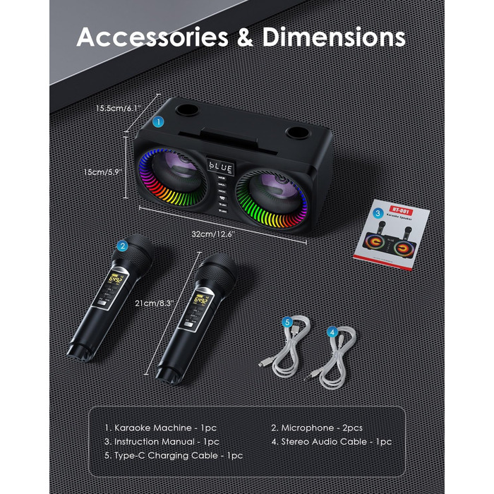 Караоке система All-in-One з Bluetooth, 2 мікрофонами та акустикою 30W, PA система для вечірок (Чорний)