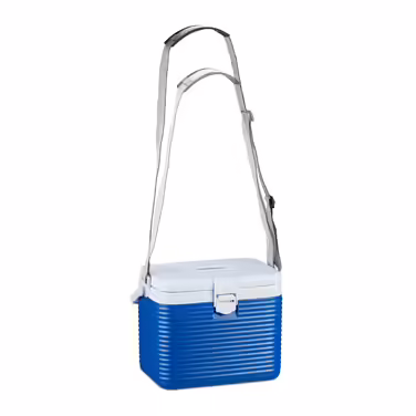 Relaxdays Small Cooler Box, 8 Liters