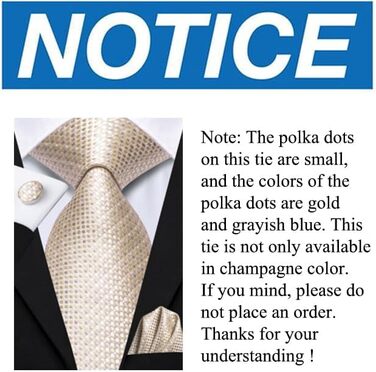 Комплект краватка та хустинка Hi-Tie для весілля, жаккардовий шовковий галстук, запонки та брошка для піджака, шампань