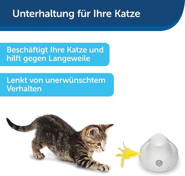 PetSafe Cat Toy, Interactive Engagement Toy with Timer, 3 AA Batteries Required (Peek-a-Bird)