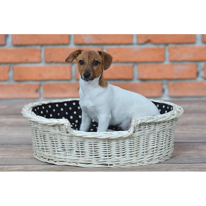 Wicker Dog Basket for Dog and Cat - Dog Bed, Cat Bed with Cushion, Pet Basket, Woven Cat Basket 60x43 H19 cm (80 x 60 x 26 cm, Beige)