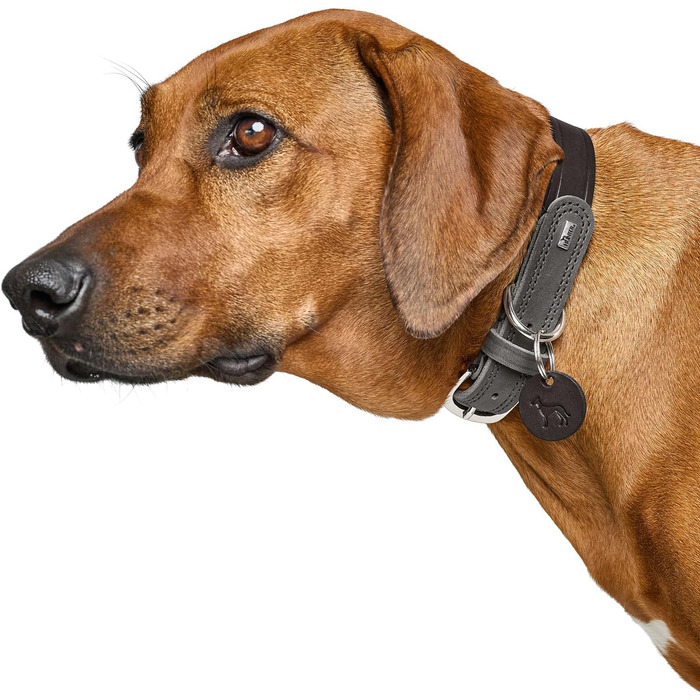 Нашийник для собак HUNTER LEMVIG, шкіряний, чорний/сірий, розмір 40, Made in Germany
