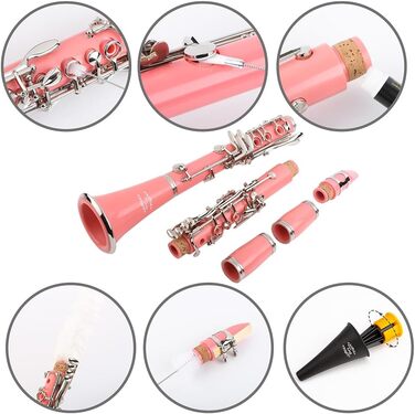 Професійна кларнет Glory GLY-CLAGN з ебоніту, Bb, з аксесуарами (10 вставок, стійка, кейс, серветка, щітки), зелений (рожево-сріблястий)