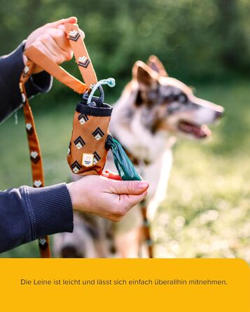 Вольф Sea to Summit Leine 1,5 м - міцна нашийова стрічка для собак з переробленого поліестеру та нержавіючої сталі, навчальна повід для прогулянок та дресирування