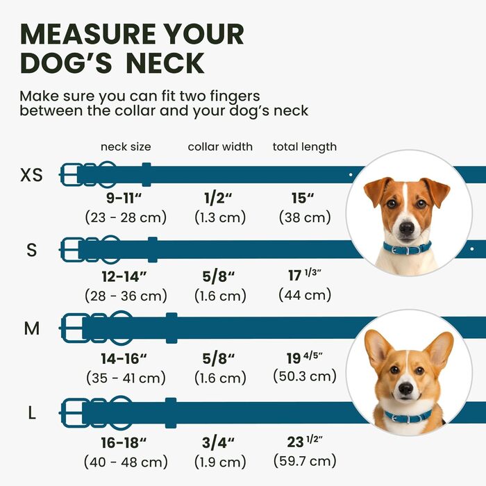 Нашийник для собак BRONZEDOG з шкіри, з QR-ідентифікатором, блакитний (M: 35-41 см, XS: 23-28 см)