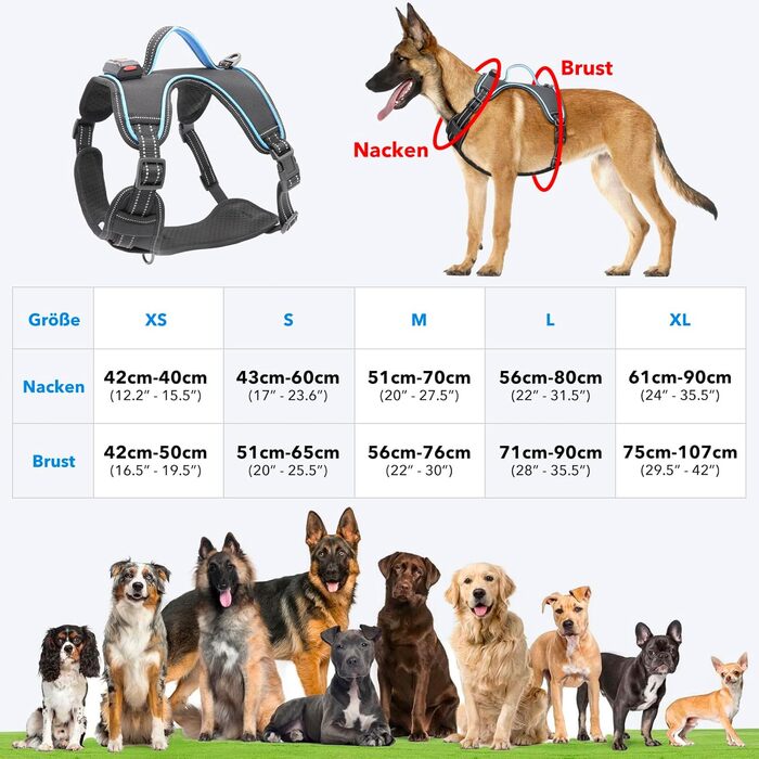 Нашийник для собак з екошкіри, перероблений, для великих і середніх собак, зелений (M, блакитний)