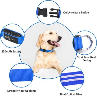 Світлодіодний нашийник для собак Leuchthalsband, перезаряджається, 3 режими світіння, водонепроникний, для маленьких, середніх та великих собак, зелений/синій (TC5000)