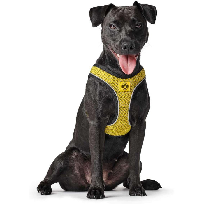 Шлейка для собак HUNTER HILO COMFORT BVB, жовта, з 3D-сіткою, світловідбиваюча, XS-S, обхват 40-46 см