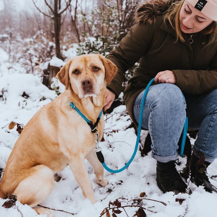 Нашийник для дрессури HUNTER FREESTYLE, червоний, розмір M. Міцний, з нейлоновим тросом, стійкий до погодних умов, для тренувань та повсякденного використання.