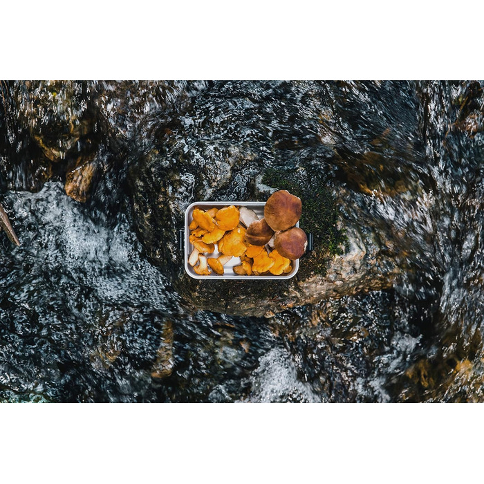 SIGG - Alu Lunchbox Plus - Lunchbox with Compartment - Award-Winning - Dishwasher Safe & Microwave Safe - Absolutely Leak-Proof - Feather-Light - BPA-Free