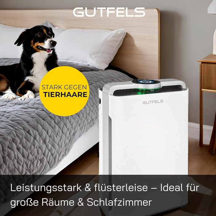 Повітряочисник та зволожувач повітря 2-в-1 LR 67013 we: HEPA-фільтр, для кімнат до 70 м²