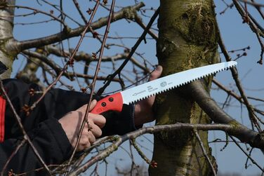 Пила для обрізки FELCO 611, довжина леза 33 см, садова пила з чохлом, конічне лезо, діаметр різу до 100 мм, довжина 50 см