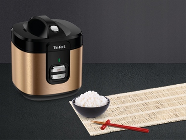Мультипільча-рисоварка Tefal Coppertinto, електричний казан 700 Вт, 2 л, RK364G