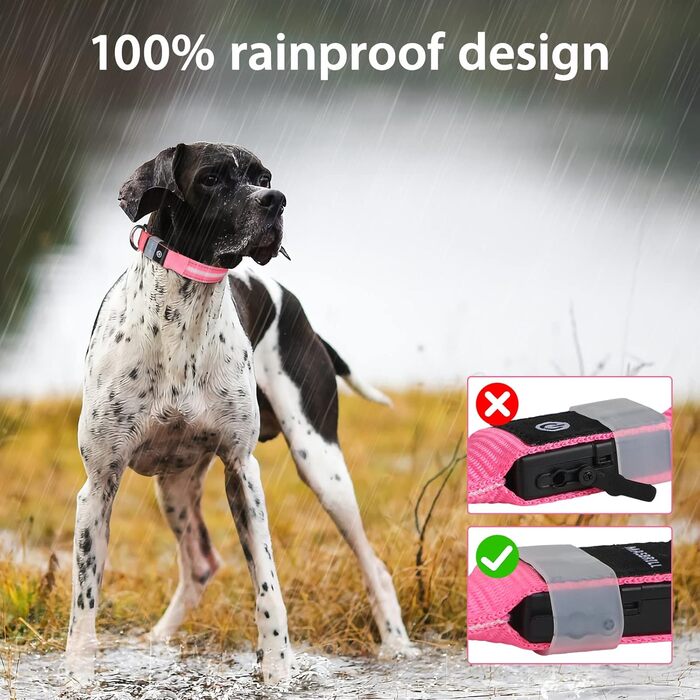 Світловідбиваючий нашийник для собак ASBRILL з LED підсвічуванням, водонепроникний, регульований, 3 режими освітлення, для маленьких, середніх та великих собак (XS, Рожевий)