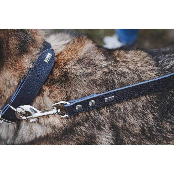 Нашийник для собак HUNTER Grenada з натуральної шкіри, темно-синій, ручної роботи, для тренувань та повсякденного використання, міцний, комфортний, елегантний дизайн, розмір 39-48 см