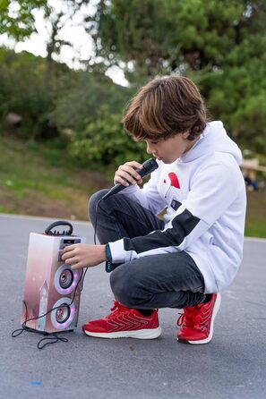 Караоке DYNASONIC з 2 мікрофонами, портативна караоке-машина, Bluetooth-динамік, USB та SD-кардридер, світлові ефекти, подарунок для дітей 5-13 років (Model 19)