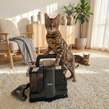 Zedar C600-750W: компактний миючий пилосос для килимів, меблів та авто