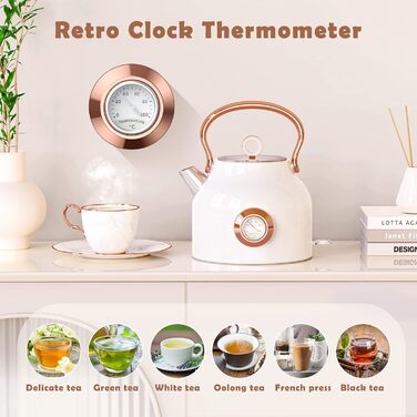 Чайник електричний NESSGRAIM Retro, 1.7л, нержавіюча сталь, з LED-індикатором, чорний (Елегантний білий)