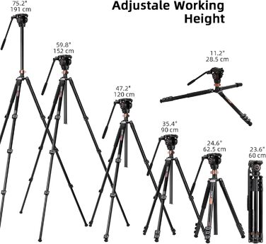 Штатив відео Cayer FP2450 з плинною головкою, 75 дюймів, алюміній, 4 секції, компактний, перетворюється на монопод, для DSLR, до 6 кг