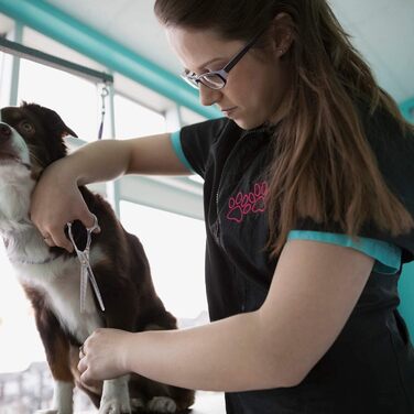 Професійна ножиця для грумінгу собак, 7 дюймів, пряма, для собак та котів, з тонкої стрижки, з японської сталі 440C